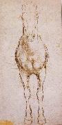 LEONARDO da Vinci Study of the proportion of horses Germany oil painting artist